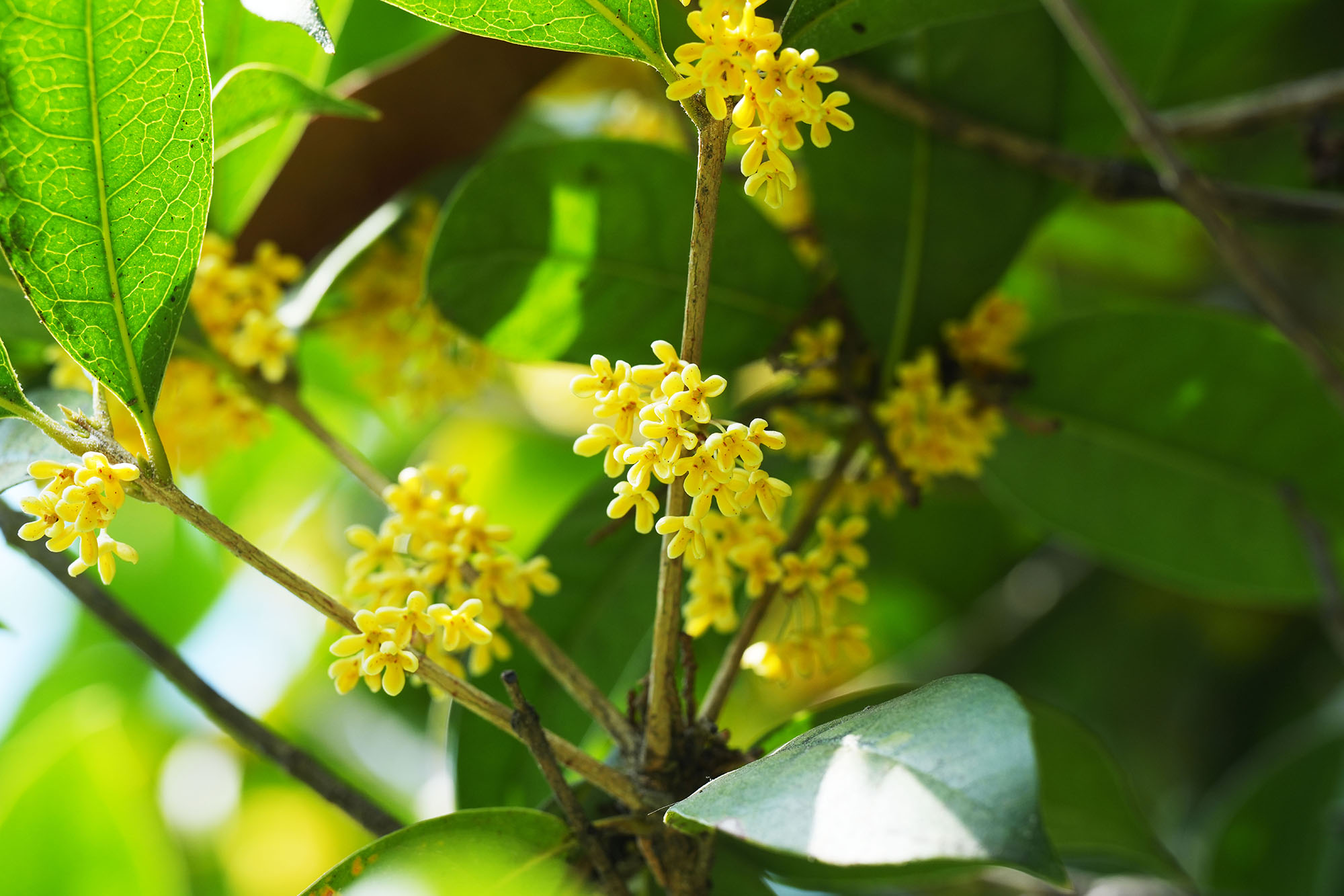 伟易博(中国区)官方网站